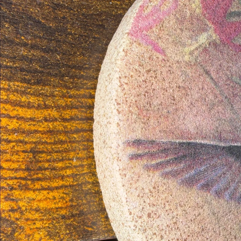 Thirstystone Hummingbird Stone Coaster Set with Pink and Brown Accents- Set of 4